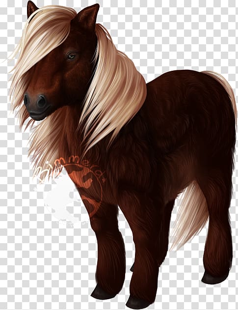 Shetland pony Mane Mustang Howrse, mustang transparent background PNG clipart