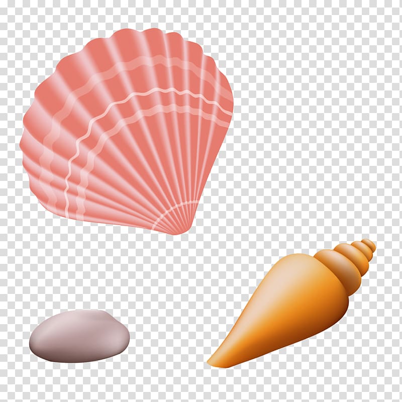 three assorted-color seashells illustration, Shell Beach, Guyana Seashell, Beach shell conch transparent background PNG clipart