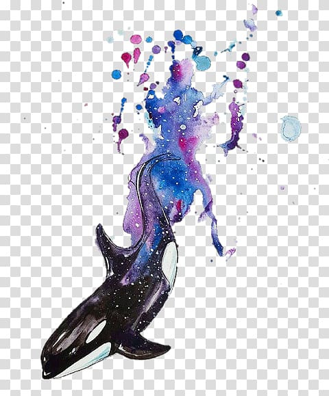 Watercolor painting Killer whale Art, painting transparent background PNG clipart