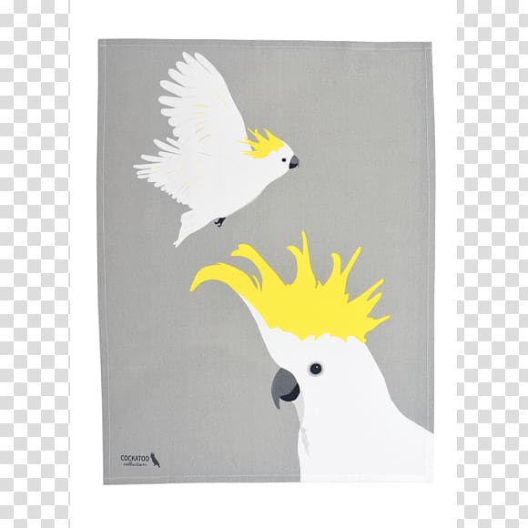 Towel Australia Cockatoo Gift Bird, Australia transparent background PNG clipart