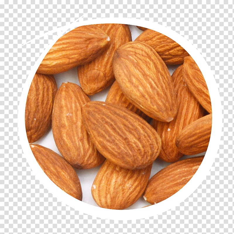 Cellulite Skin Nut Almond Oil, almond transparent background PNG clipart