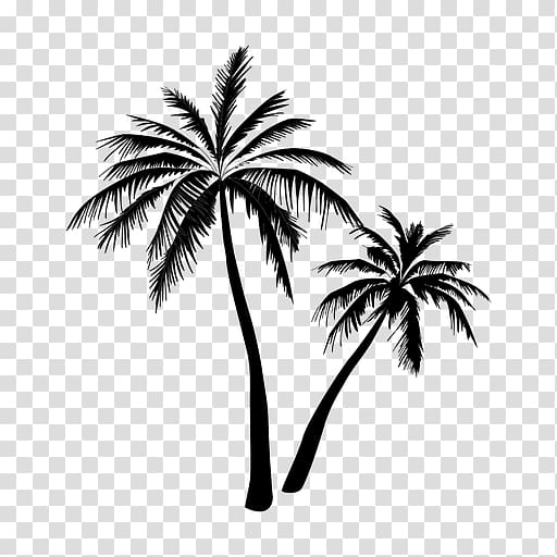 Arecaceae Tree , tropical forest transparent background PNG clipart