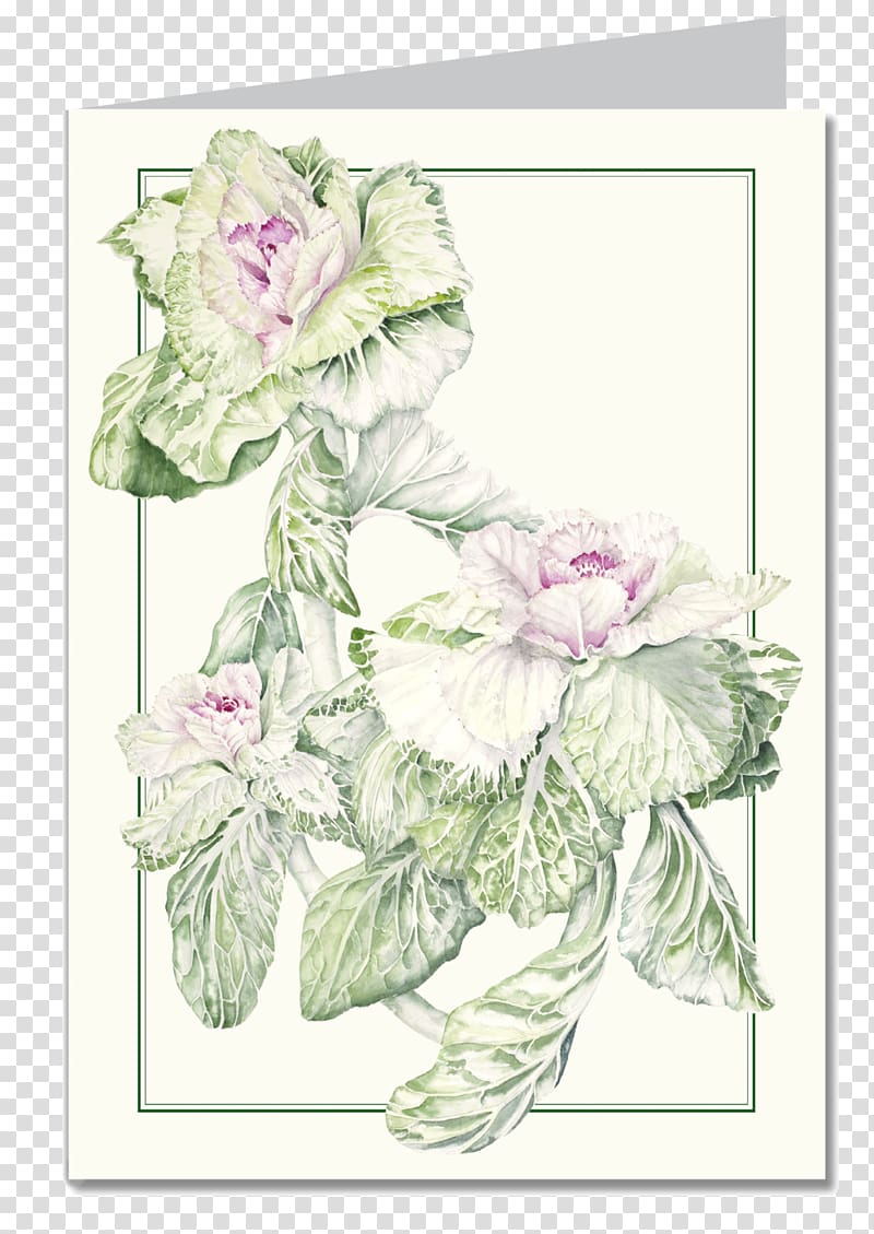 Floral design Calendar Garden roses Botany Flower, flowering kale varieties transparent background PNG clipart
