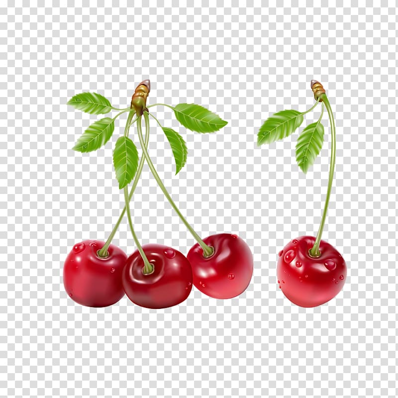 Cherry Fruit , Fresh cherry fruit transparent background PNG clipart