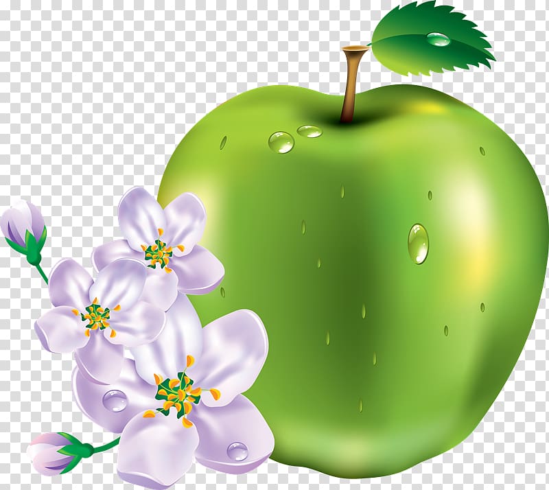 Portable Network Graphics Fruit Psd Adobe Illustrator Artwork, hainan island transparent background PNG clipart