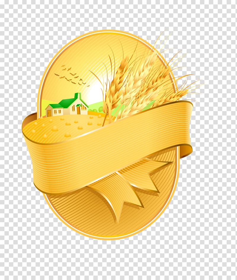 Wheat Harvest Ear, Golden wheat grains transparent background PNG clipart