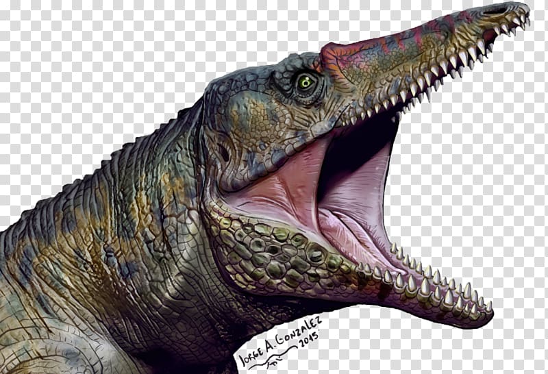 Velociraptor Paleontology Tyrannosaurus Chatham County, North Carolina Predator, Carnifex transparent background PNG clipart