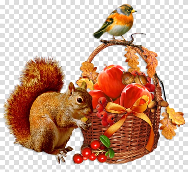 Autumn Centerblog Season Day, Cartoon squirrel animal bird sparrow baskets transparent background PNG clipart
