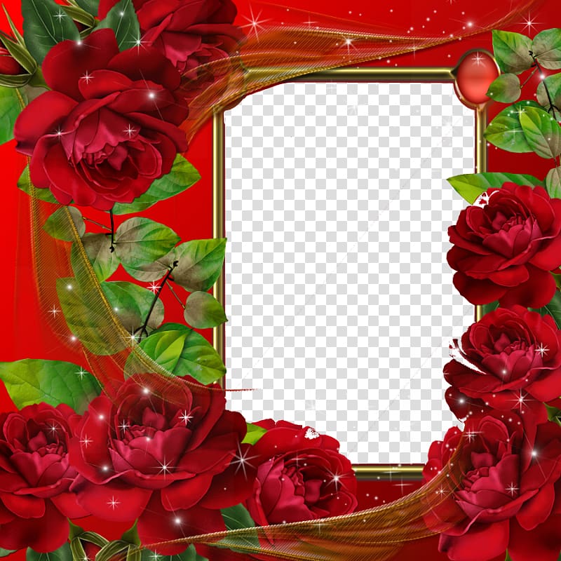 frame editor Application software, Red Flower Frame Pic transparent background PNG clipart