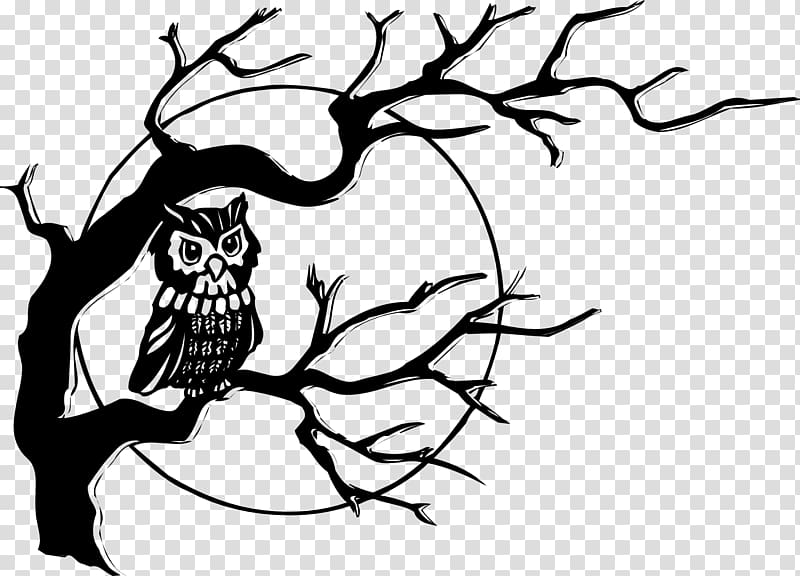 Black-and-white Owl , owl transparent background PNG clipart