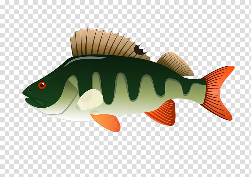 Northern pike Yellow perch , fish transparent background PNG clipart