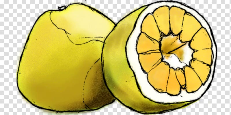 Lemon Ugli fruit Cucurbita Bright Young Eyes, Delicious Fruit transparent background PNG clipart