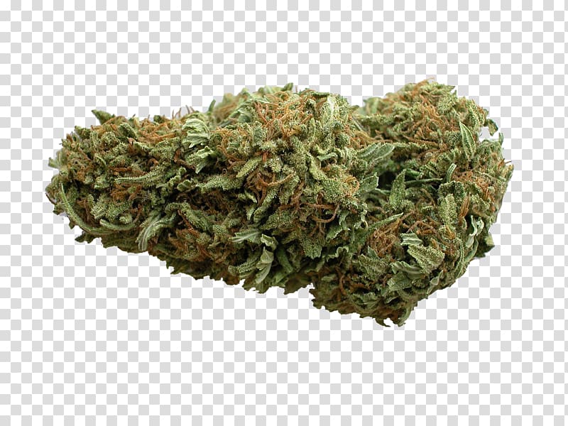 Cannabis sativa Vaporizer Kush Dispensary, cannabis transparent background PNG clipart