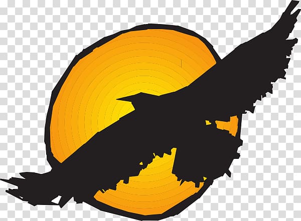 Hawk Flight Eagle , Flying Hawk transparent background PNG clipart