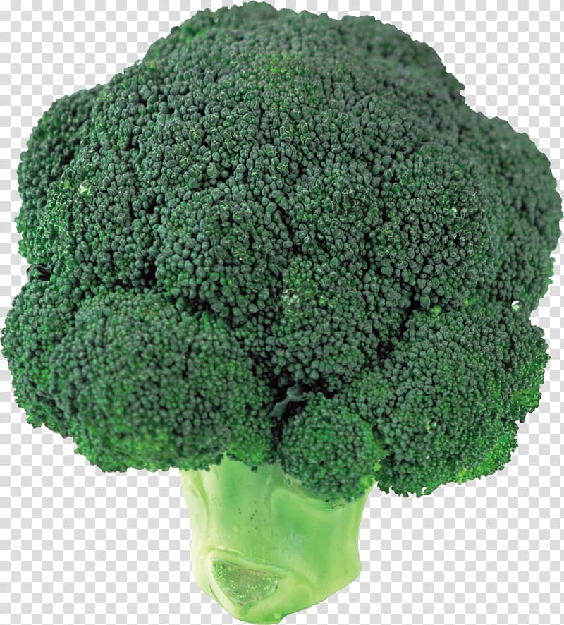 Broccoli transparent background PNG clipart