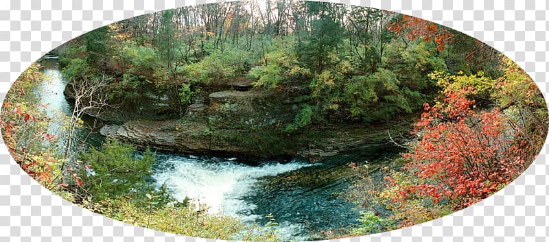Kankakee River State Park Rock Creek Rock Cut State Park, huck finn river route transparent background PNG clipart