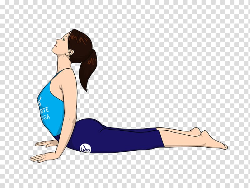 Bhujangasana Bikram Yoga Exercise Abdomen, Yoga transparent background PNG clipart