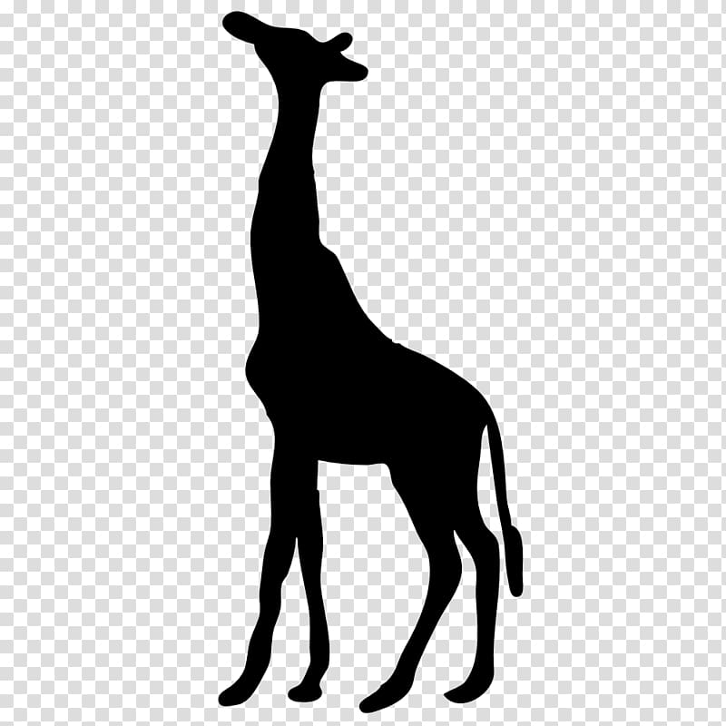 Giraffe Silhouette , Animal Head Outline Giraff transparent background PNG clipart