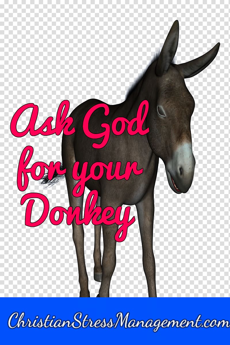 Mule Foal Stallion Halter Colt, Stress Quotes Inspirational God transparent background PNG clipart