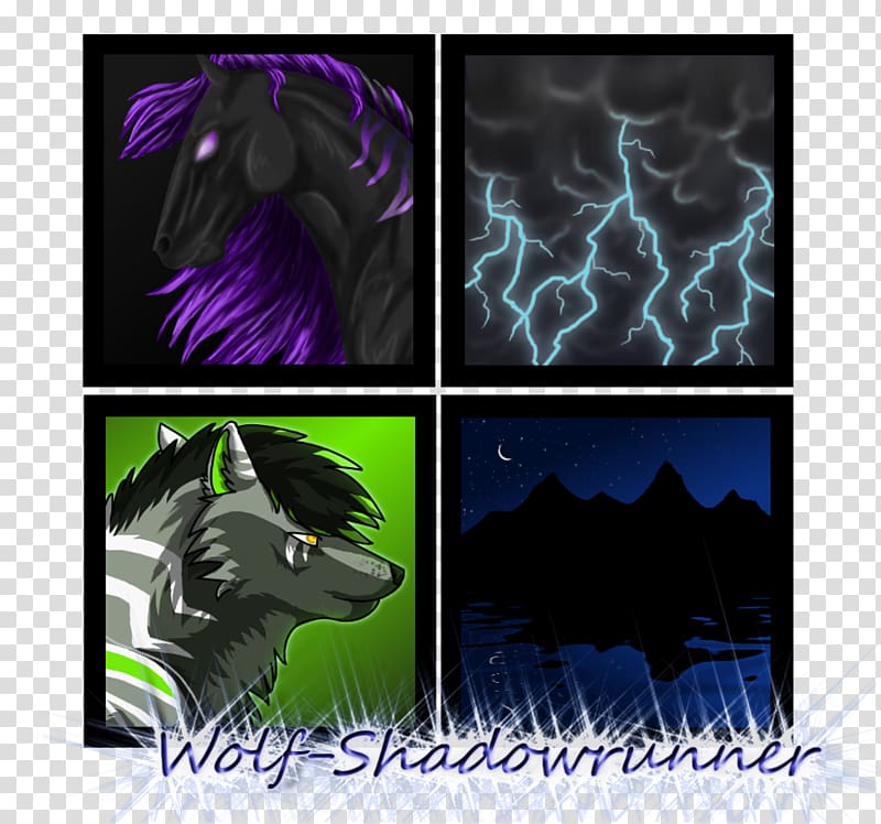 Gray wolf , runner shadow transparent background PNG clipart