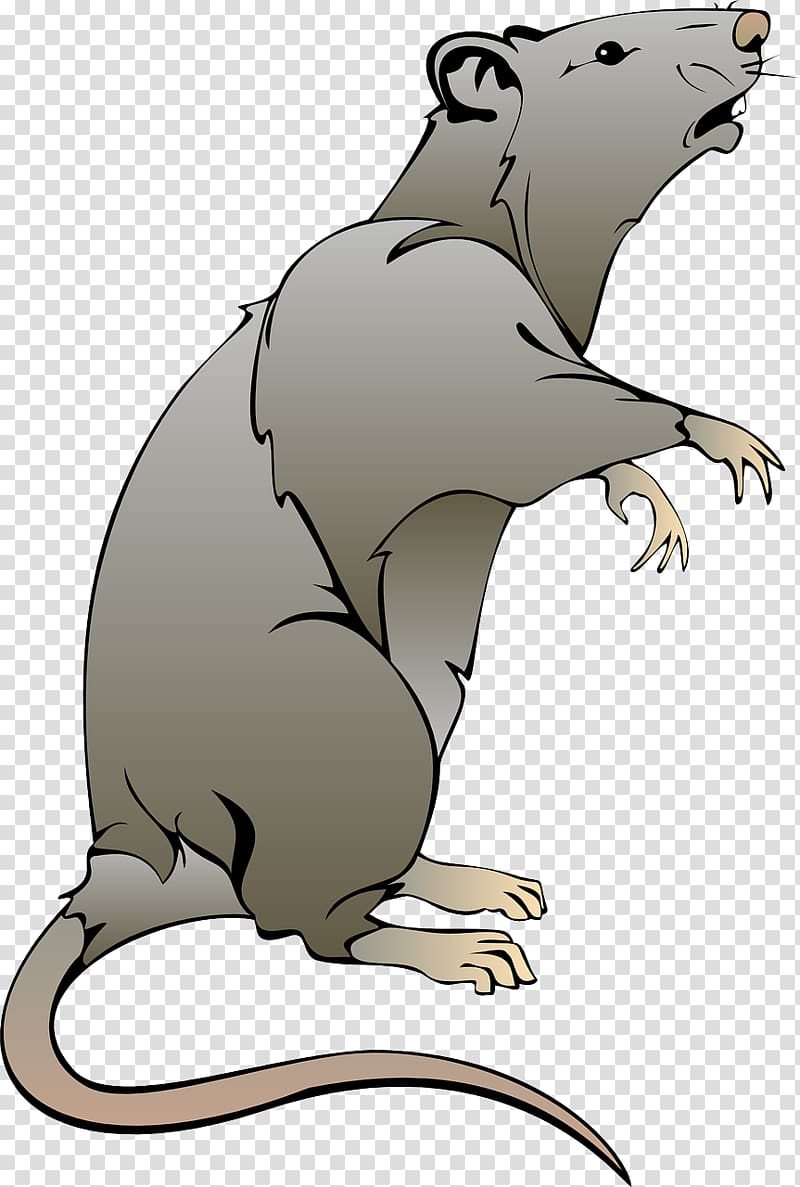 Rat Mouse , rat transparent background PNG clipart