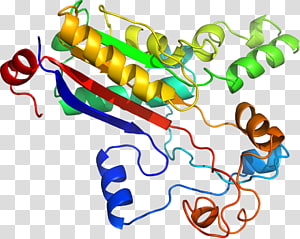 Line Point Organism , line transparent background PNG clipart thumbnail