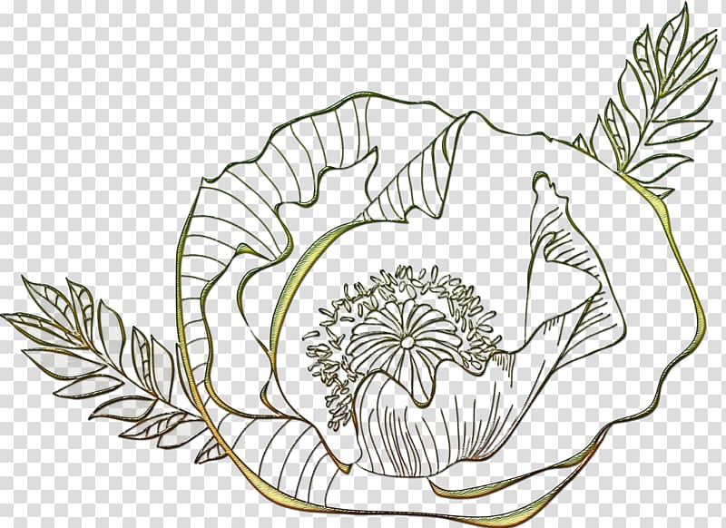 Floral design Leaf Plant stem Line art, delicate flowers transparent background PNG clipart