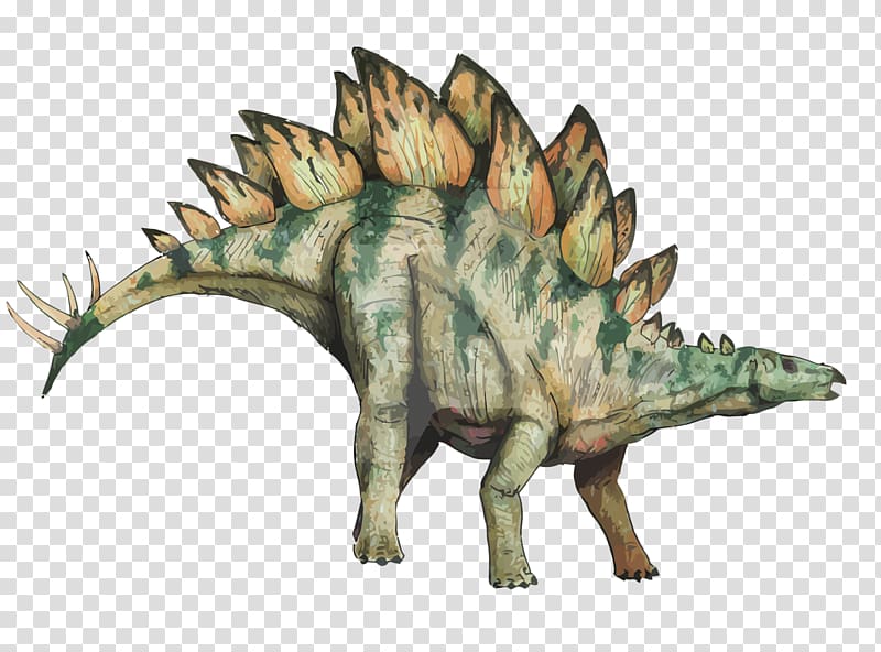 green and brown dinosaur illustration, Stegosaurus Stegosauria Dinosaur, sword dragon transparent background PNG clipart