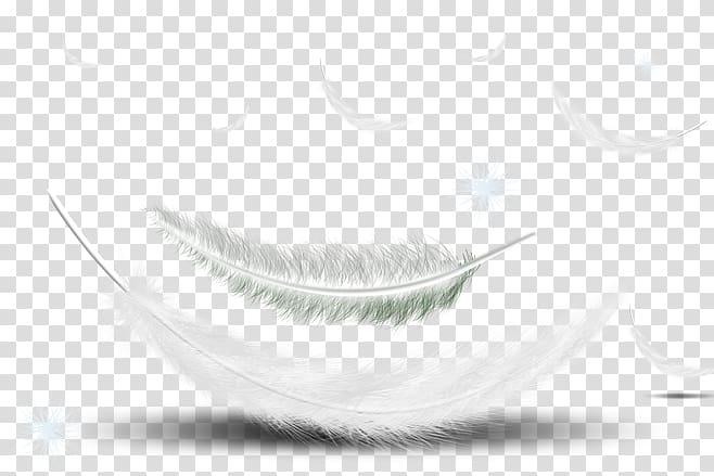 Feather Black and white , feather transparent background PNG clipart