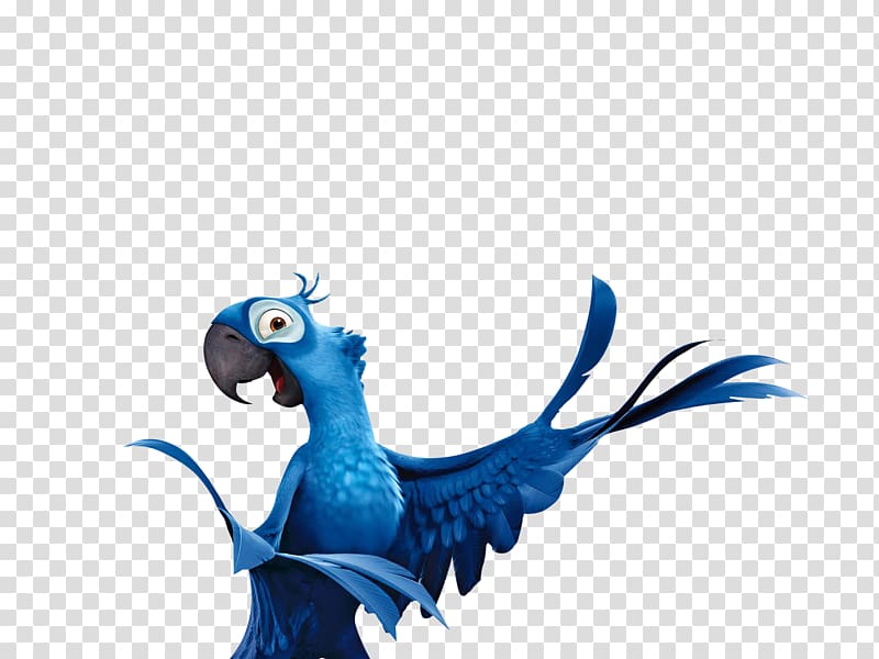 Rio de Janeiro Jewel Parrot Blu Bird, rio transparent background PNG clipart