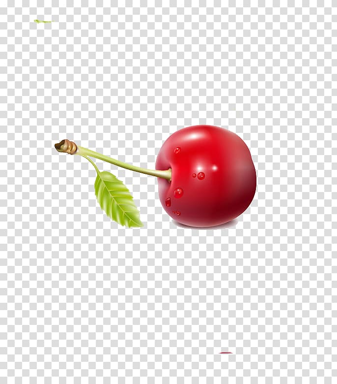 Cherry Berry Fruit Red, Delicious cherry transparent background PNG clipart