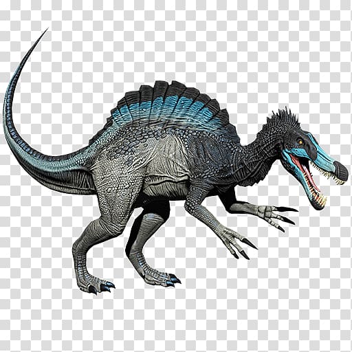 Velociraptor Spinosaurus Primal Carnage: Extinction Tyrannosaurus, dinosaur transparent background PNG clipart