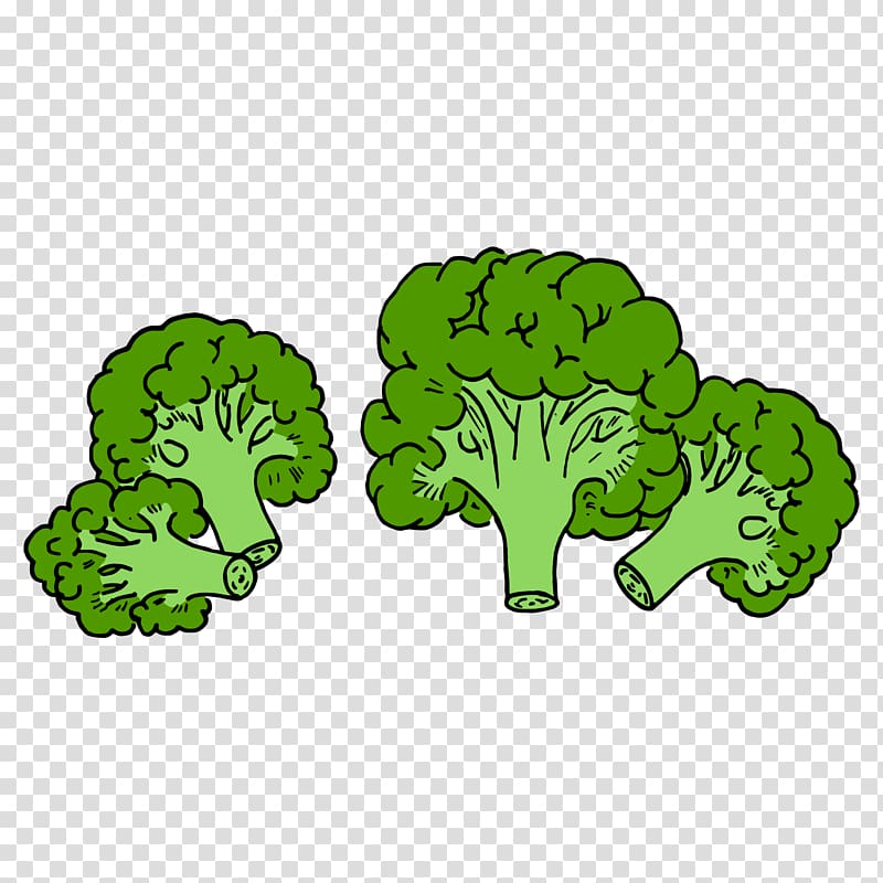 Broccoli Vegetable, Green cauliflower transparent background PNG clipart