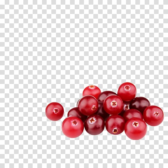 Cranberry Bilberry Lingonberry Superfood, source file library transparent background PNG clipart