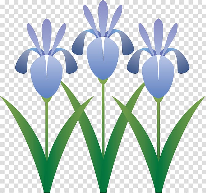 Illustration Japanese iris Flower, spring flower 1 transparent background PNG clipart