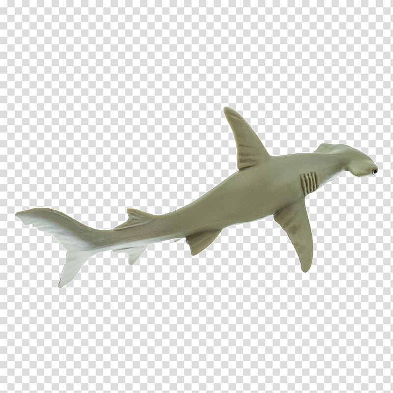 Requiem sharks Hammerhead shark Great hammerhead Scalloped hammerhead, shark transparent background PNG clipart