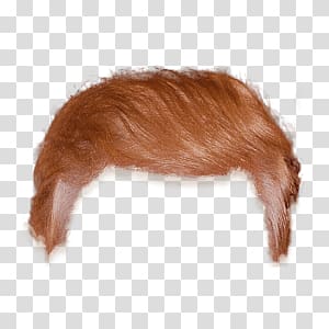 blonde hair , Donald Trump Hair transparent background PNG clipart