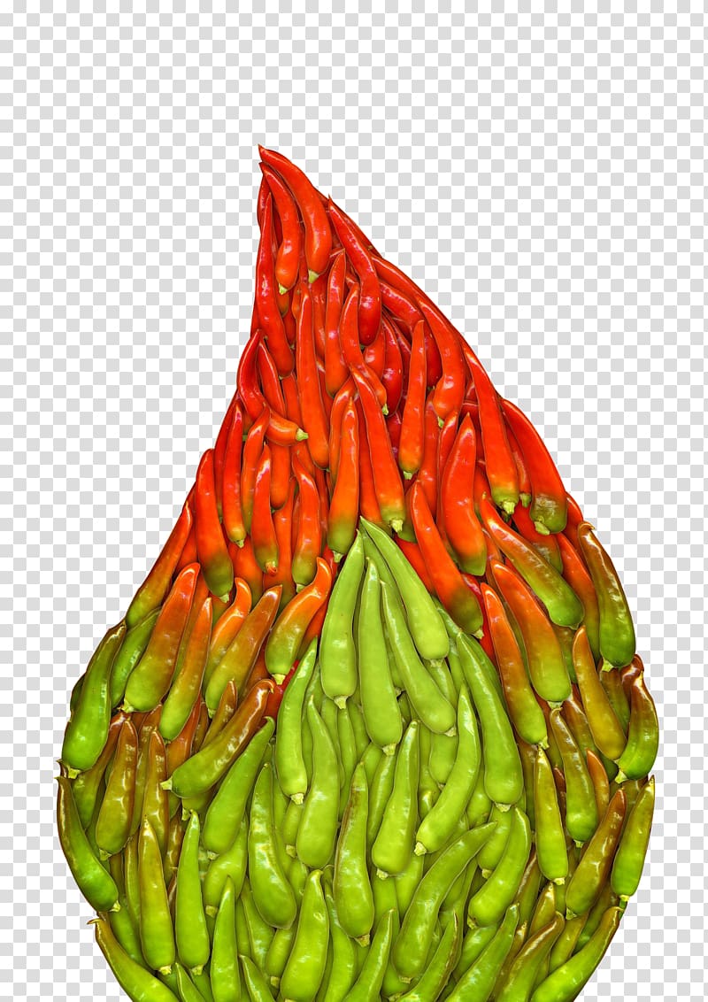 Chili pepper Jalapexf1o Bhut jolokia Pungency, Volcano pepper transparent background PNG clipart