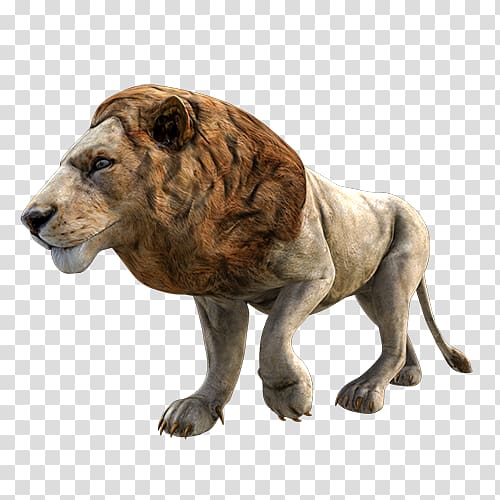 Lion Zoo Virtual reality Odyssey Toys Cat, lion transparent background PNG clipart