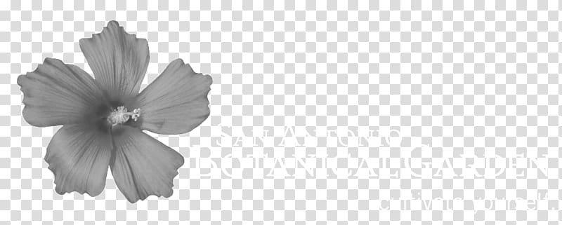 San Antonio Botanical Garden Botany Funston Place, others transparent background PNG clipart