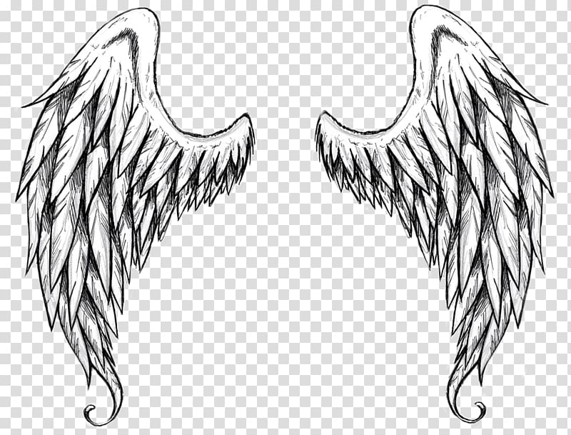 Drawing Outline Angel , angel transparent background PNG clipart