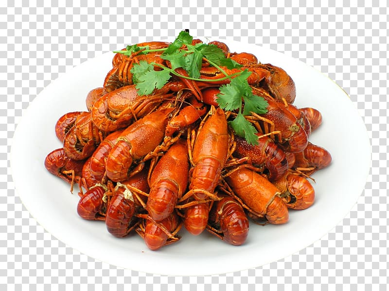 Xuyi County Palinurus elephas Hot pot Siu yeh Food, Spicy lobster material transparent background PNG clipart