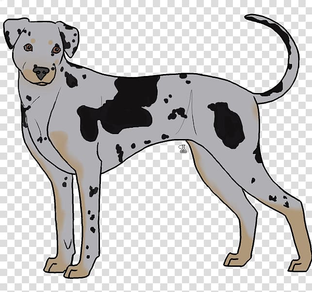 Dalmatian dog Dog breed Non-sporting group Crossbreed, catahoula transparent background PNG clipart