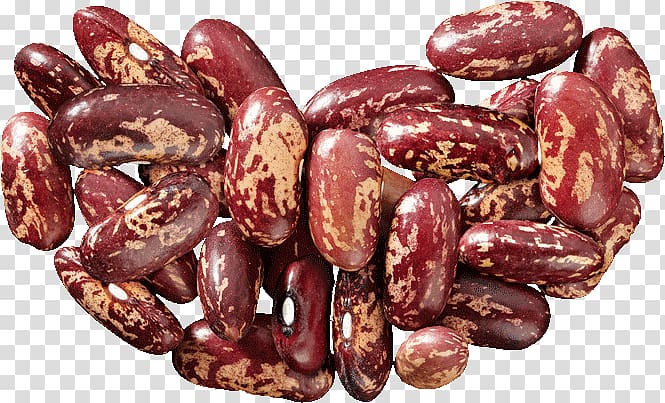 Kidney beans transparent background PNG clipart