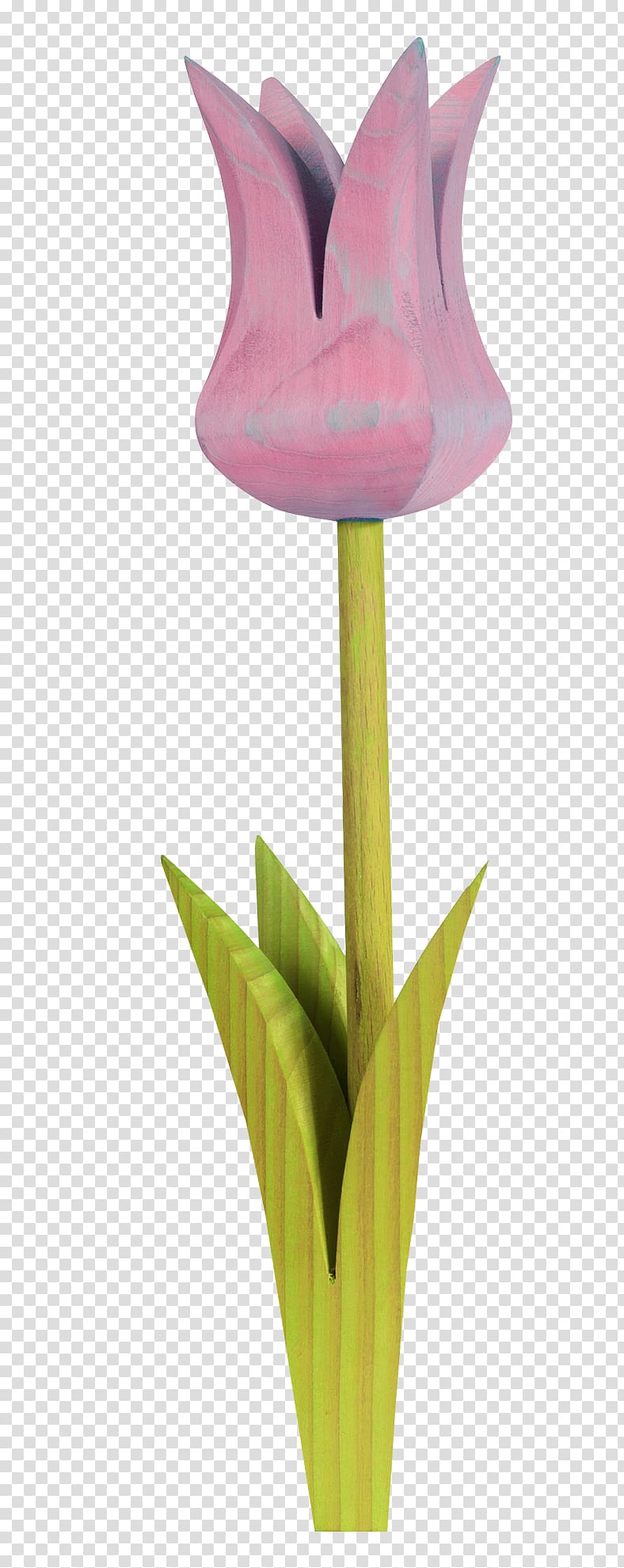 Tulip , Romantic purple tulip transparent background PNG clipart