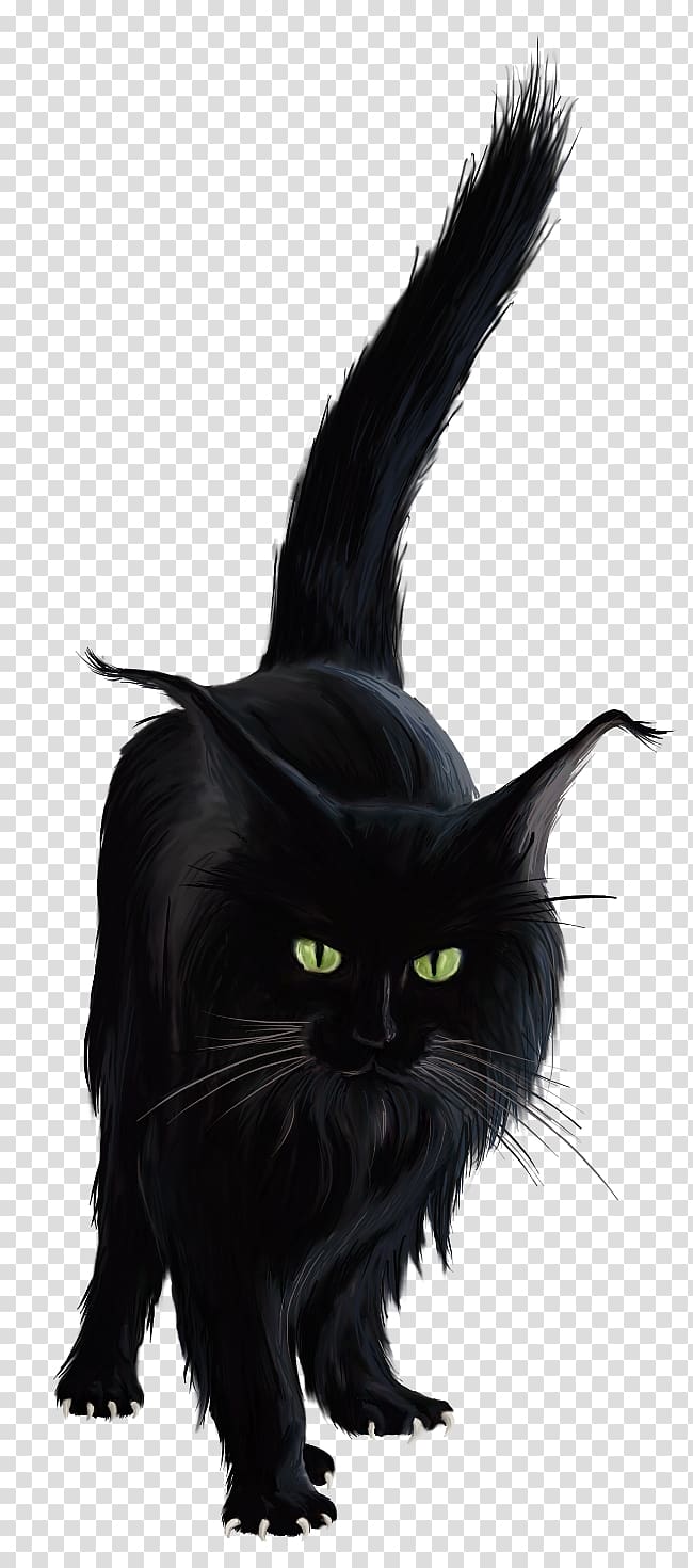 Black cat Halloween , horror transparent background PNG clipart
