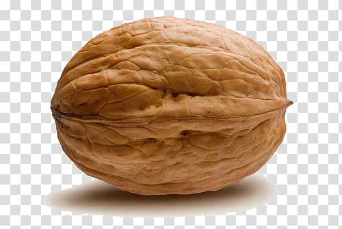 Walnut transparent background PNG clipart