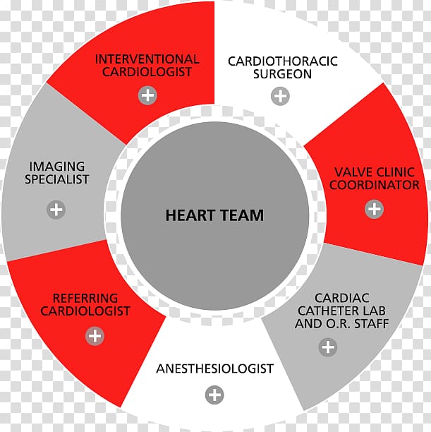 Percutaneous aortic valve replacement Heart valve Cardiology Team, heart transparent background PNG clipart