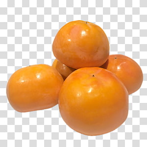 Persimmon Plum tomato Dekopon Fruit Orange, Persimmon Sign transparent background PNG clipart thumbnail