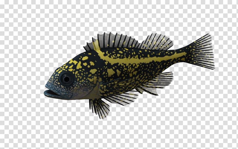 Ocean 3D computer graphics, Ocean Fish Pic transparent background PNG clipart